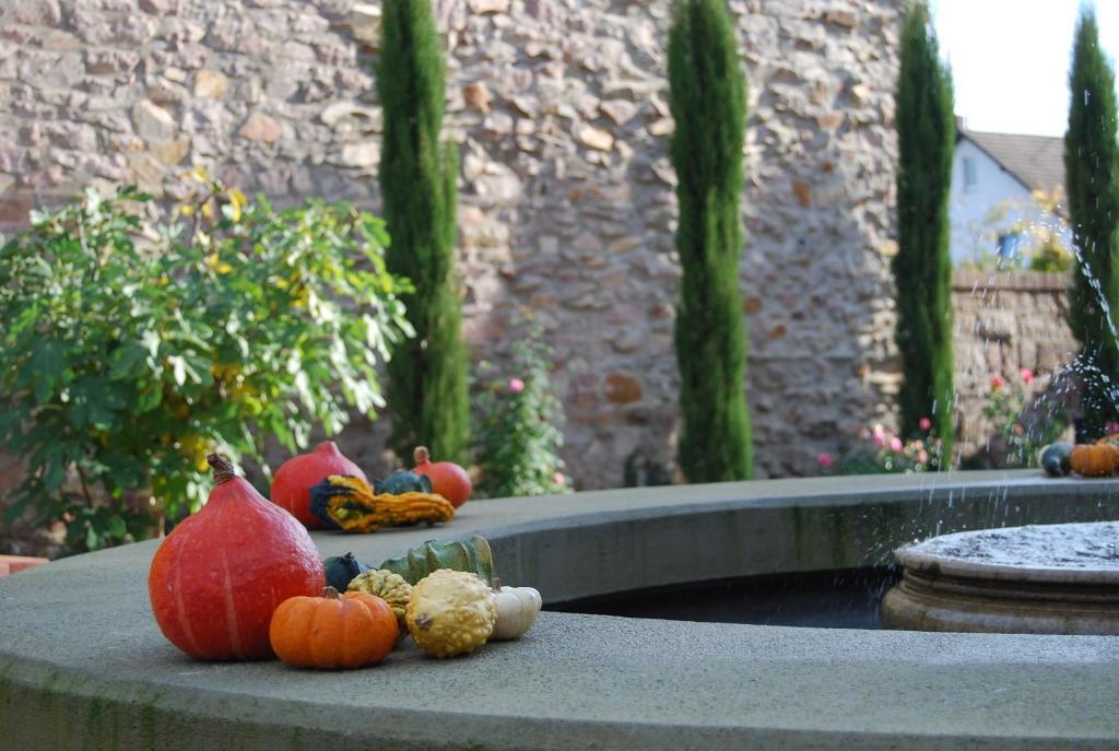 Hotel Figo Bretzenheim 外观 照片